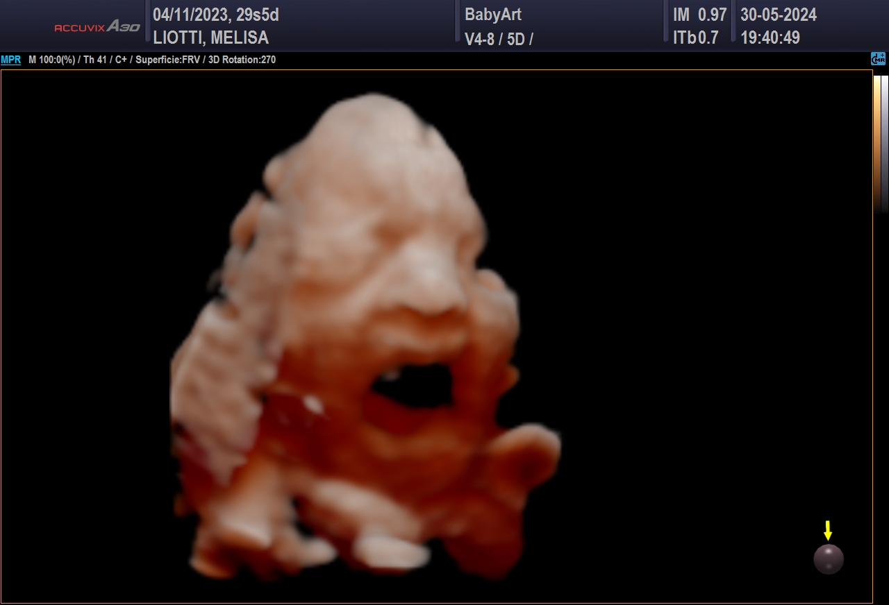 JULIA DE MELISA LIOTTI_0017.JPG